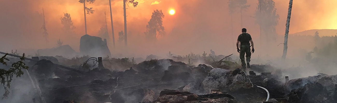 beijertech firehose in forestfire